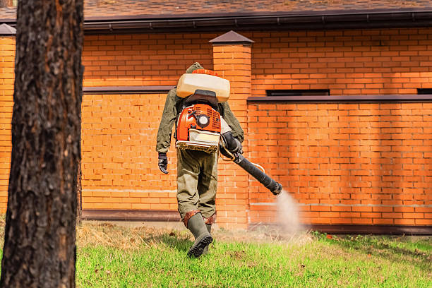 Top rated local Cockroach Control specialists in Osburn, ID